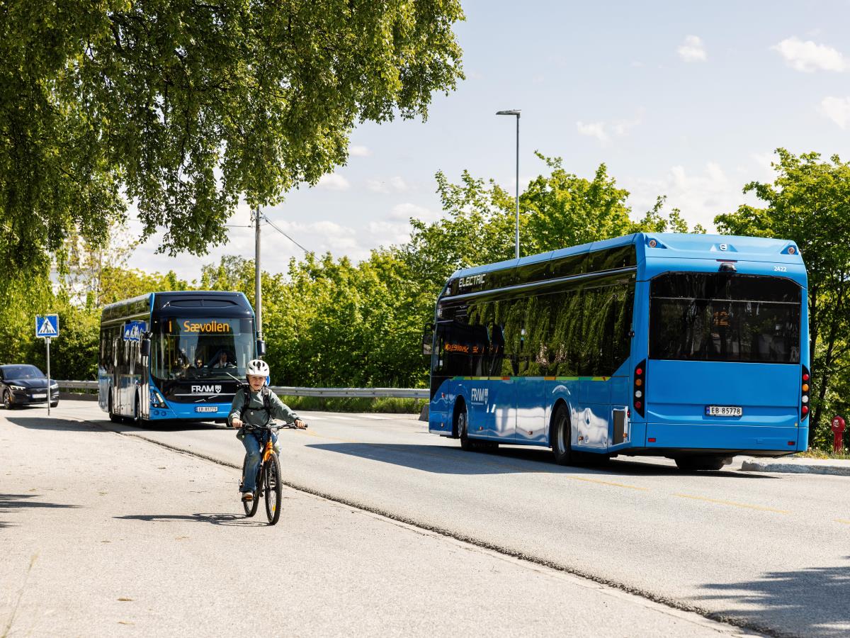 En gutt som sykler, og to busser som møtes langs veien. 